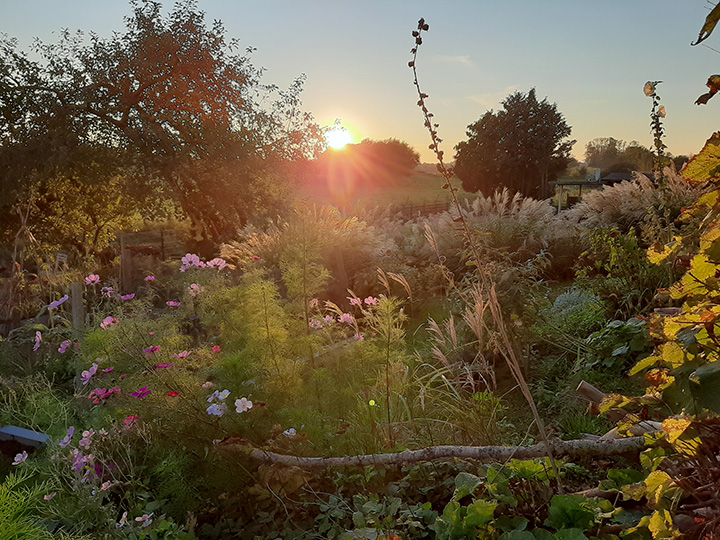 Sonnenaufgang.